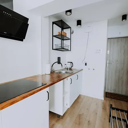 Komfortowy W Centrum Wroclawia * ヴロツワフ